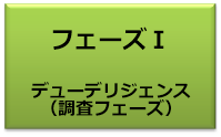 フェーズⅠ デューデリジェンス（調査）